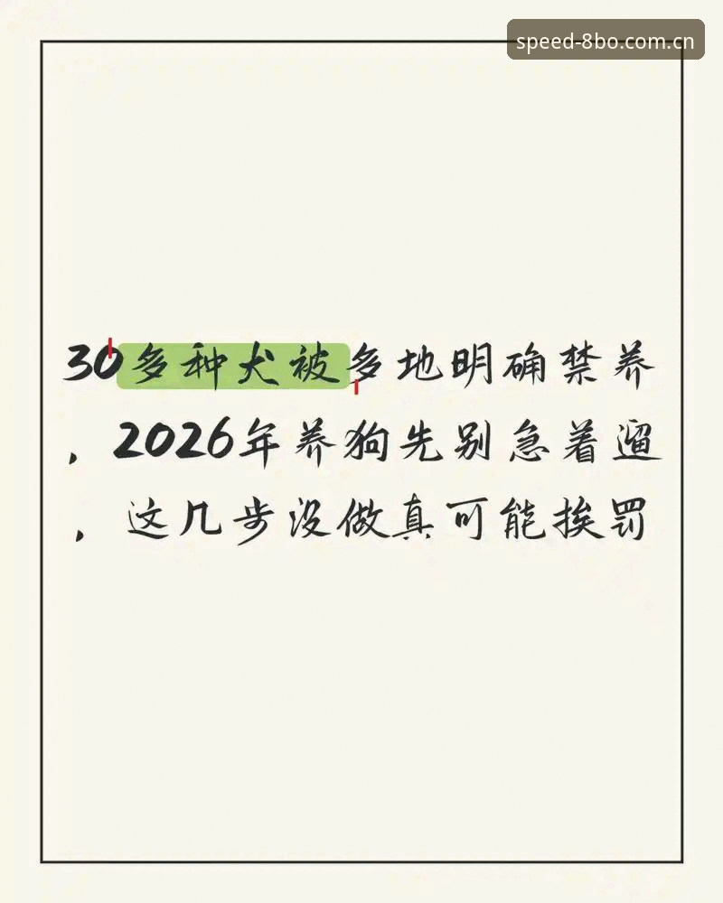 更快找到真正入口赛事数据2026最新版本 揭秘“更快找到真正入口赛事数据2026最新版本”:别急着下载,先绕过那些坑
